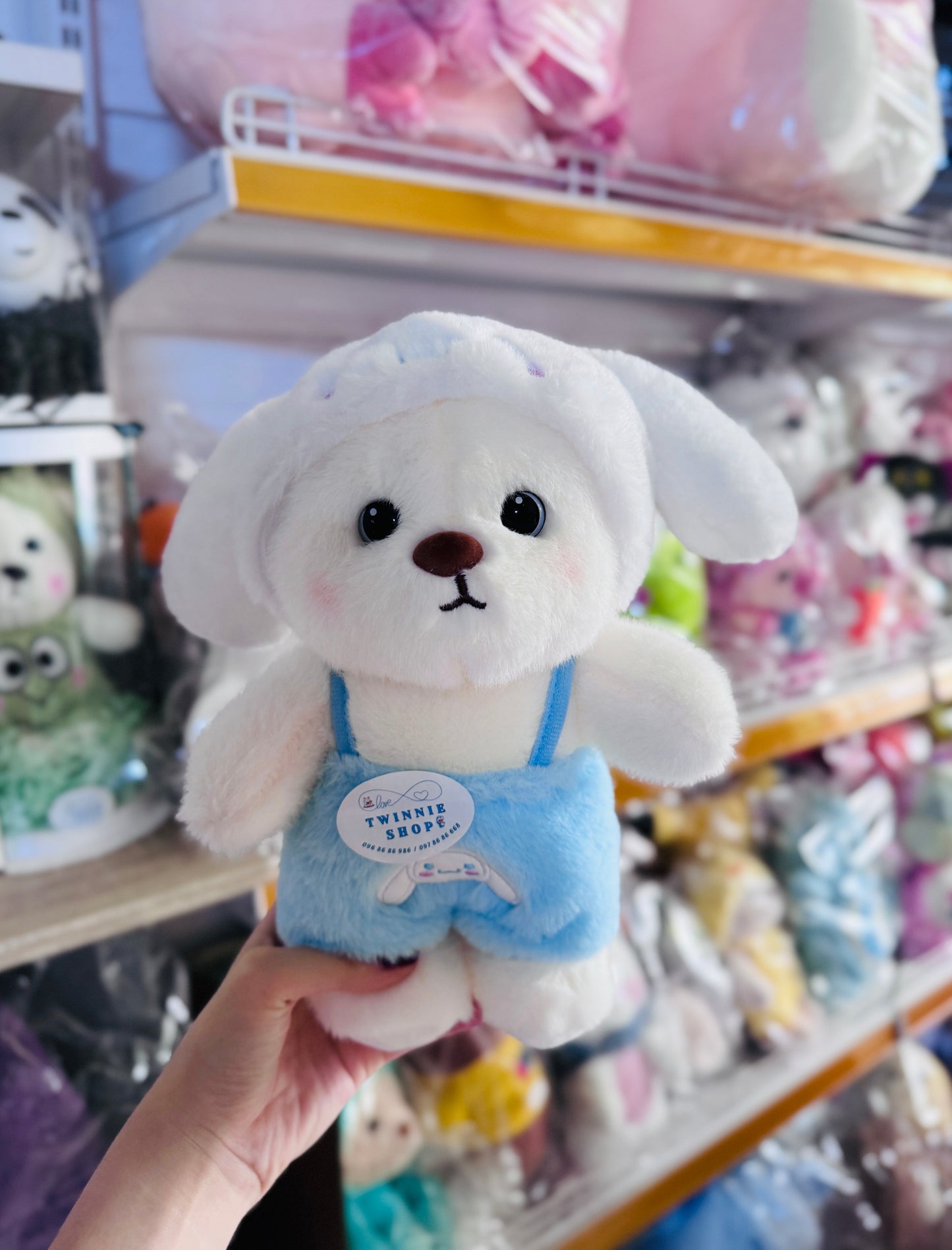 SD | Colorful bear