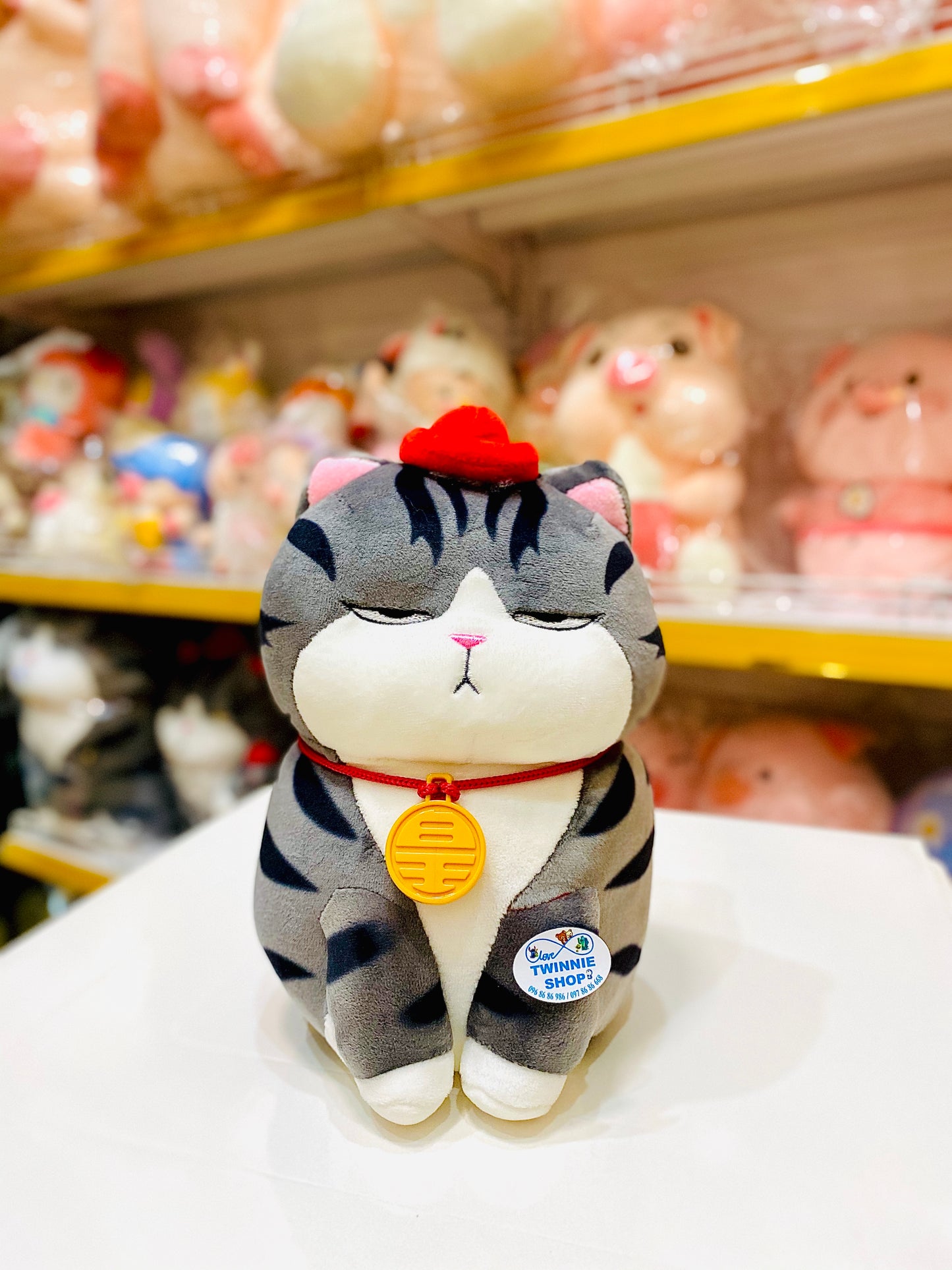 SD | Moody cat