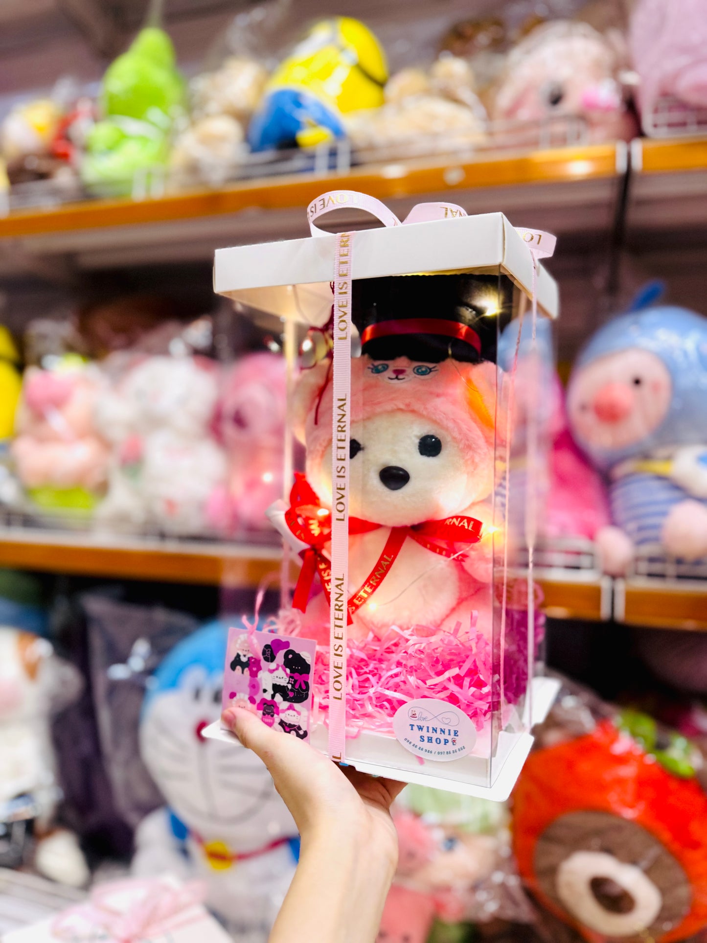 GRA | Bear graduate set