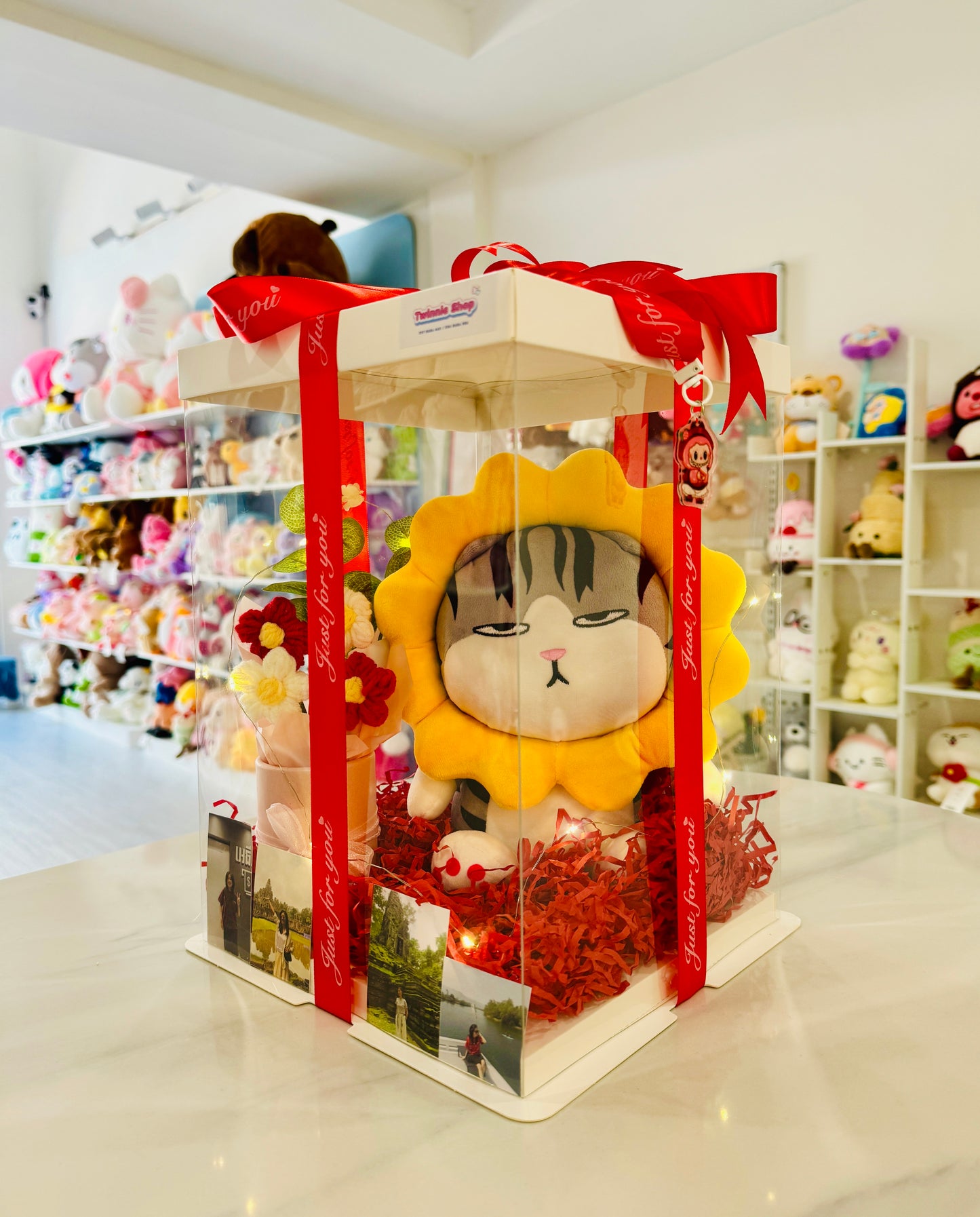 SRBFW | Sunflower cat gift box