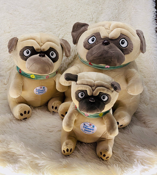 BT | Pug