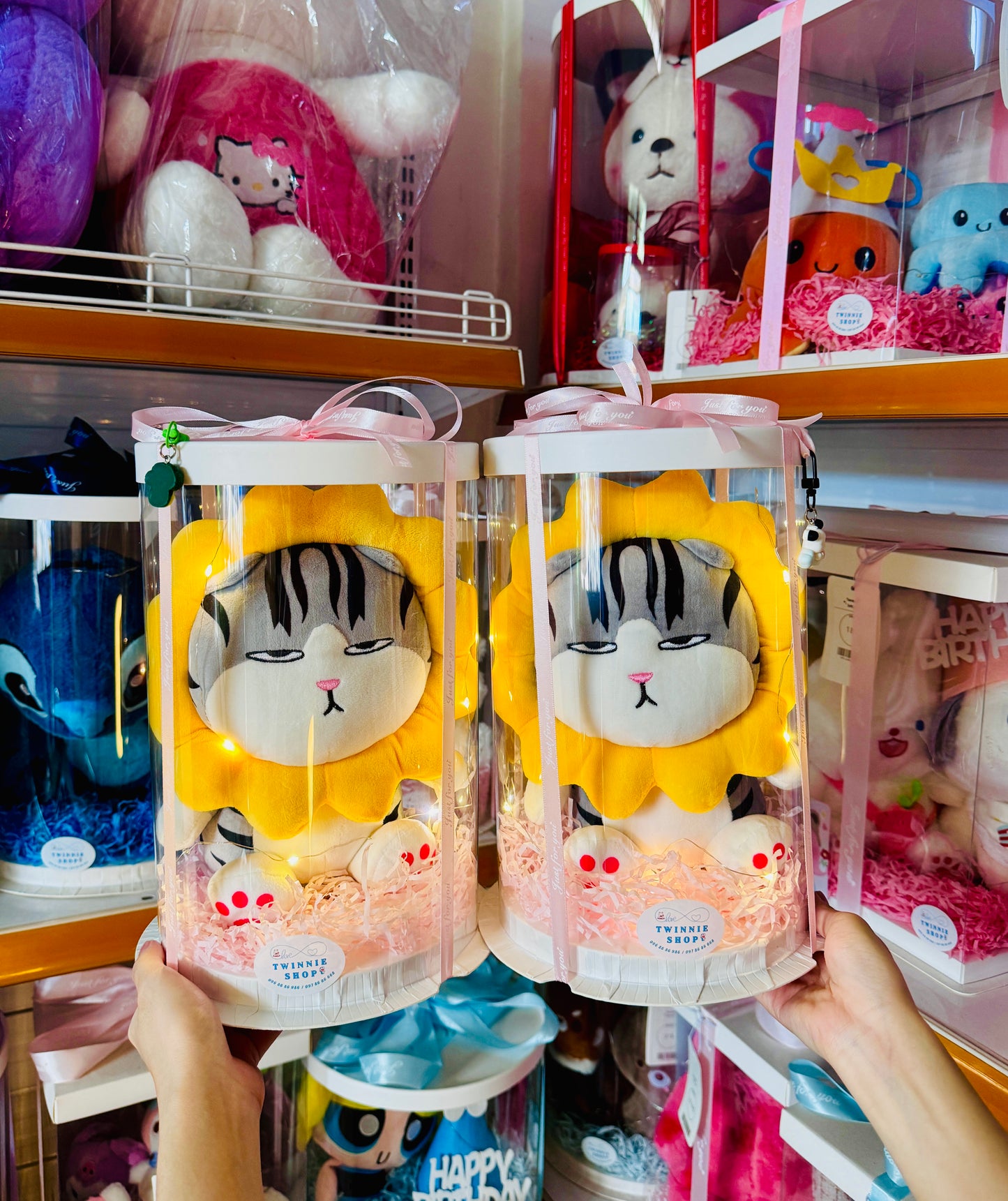 SRB10 | Moody cat gift box