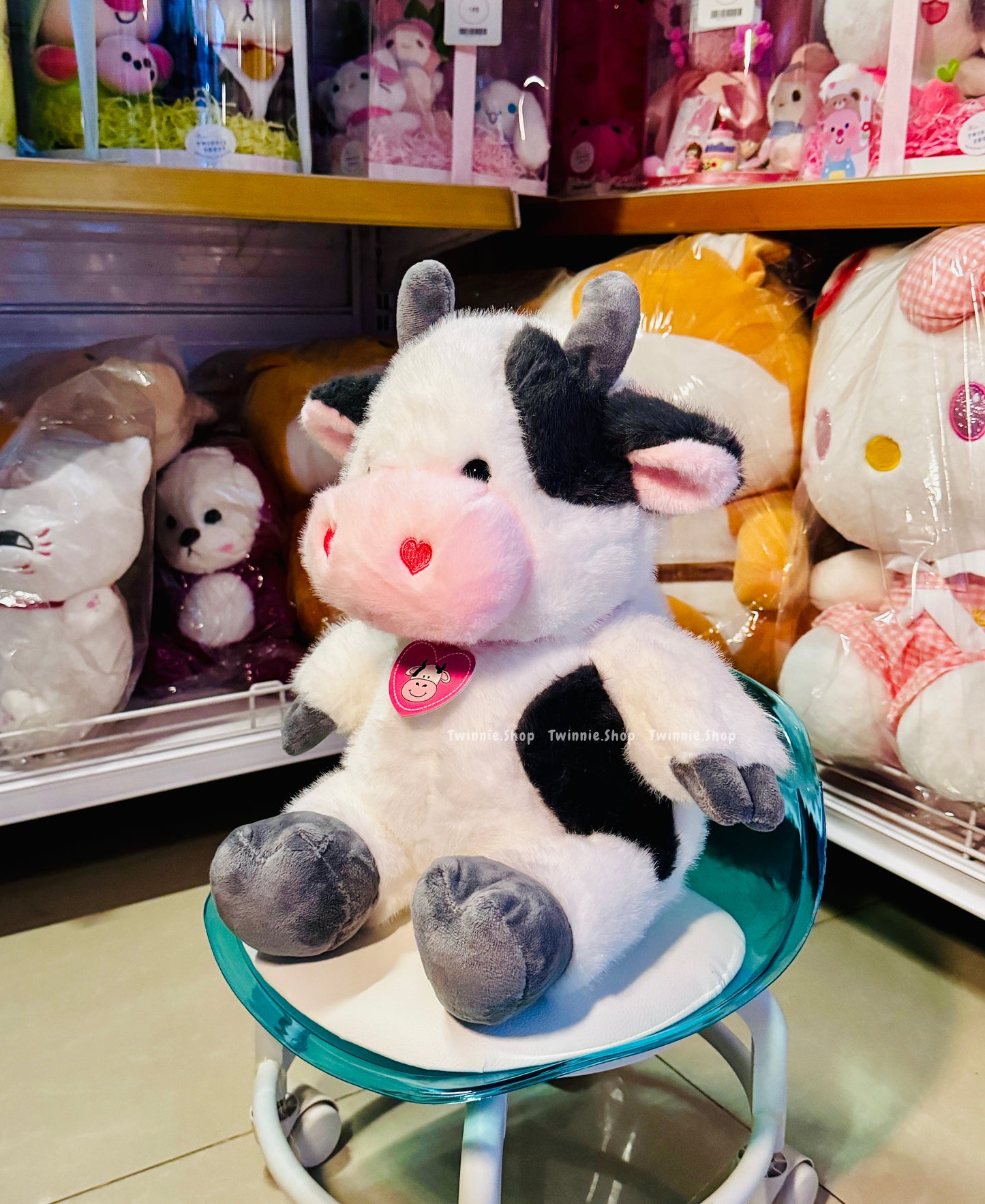 BT | Cow
