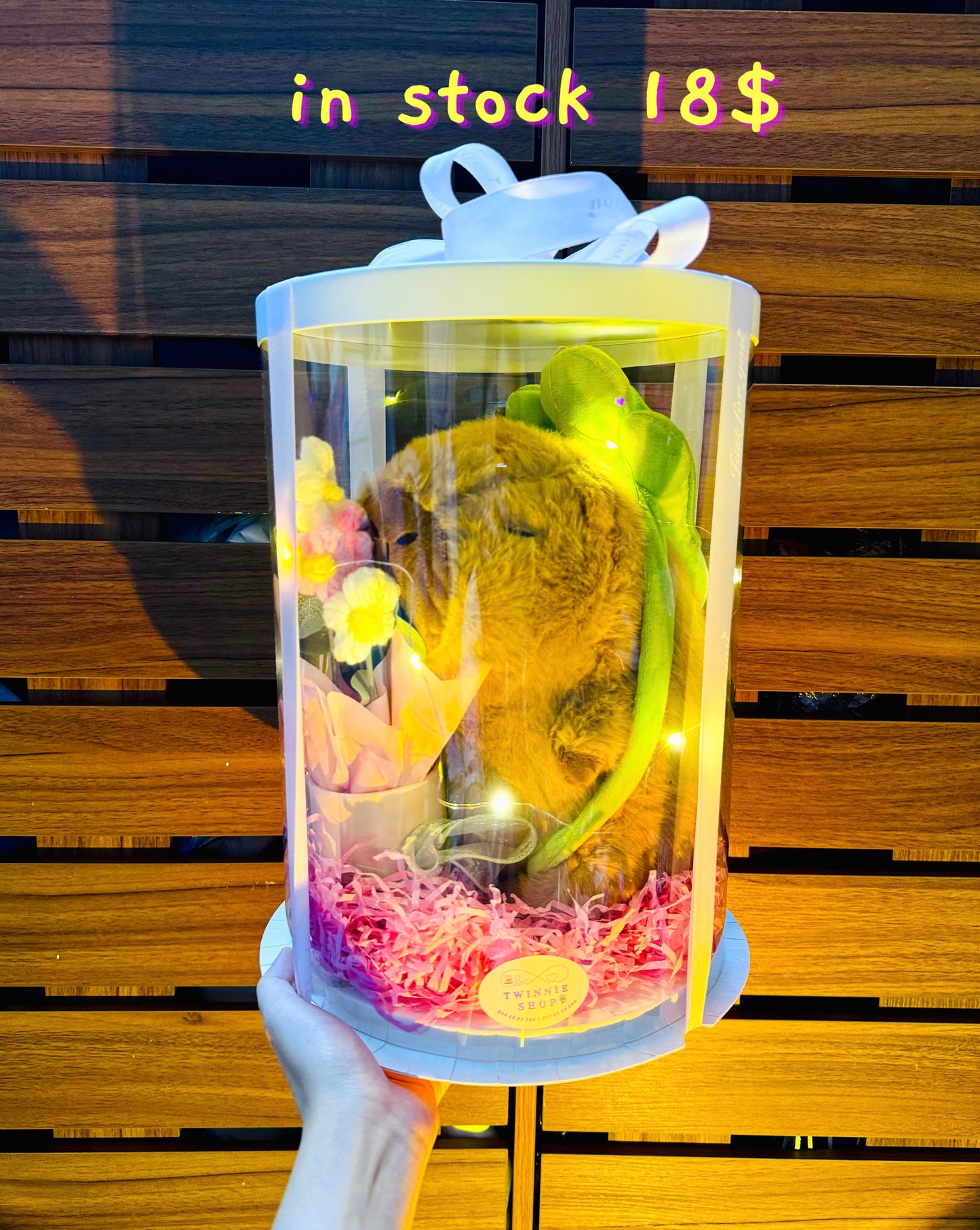 BB | Capybara Turtle big set