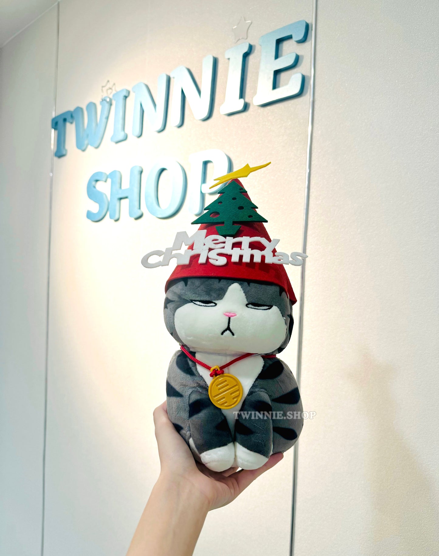 Xmas| cat