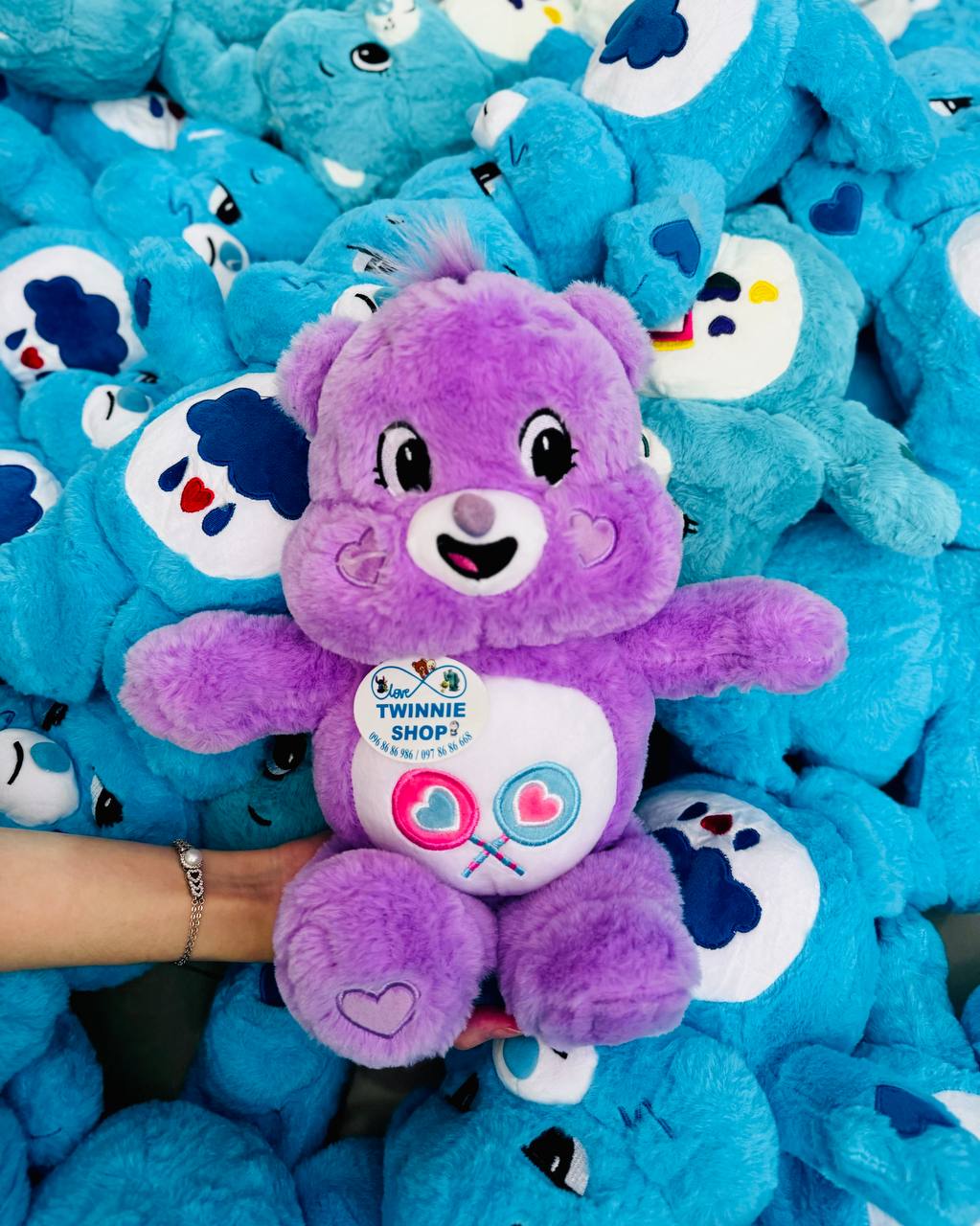 BT | Care bear 30cm
