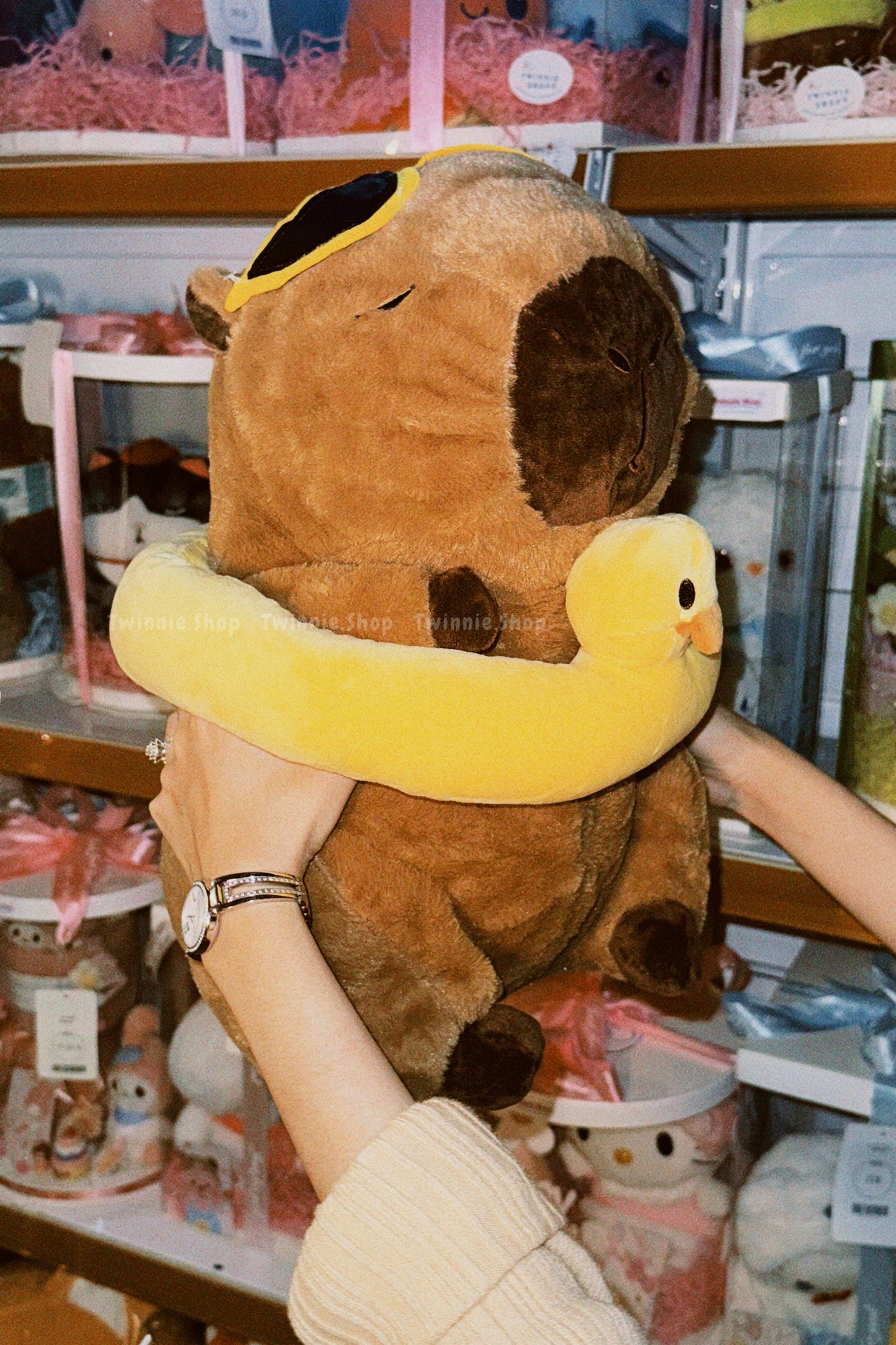 BT | Swim capybara