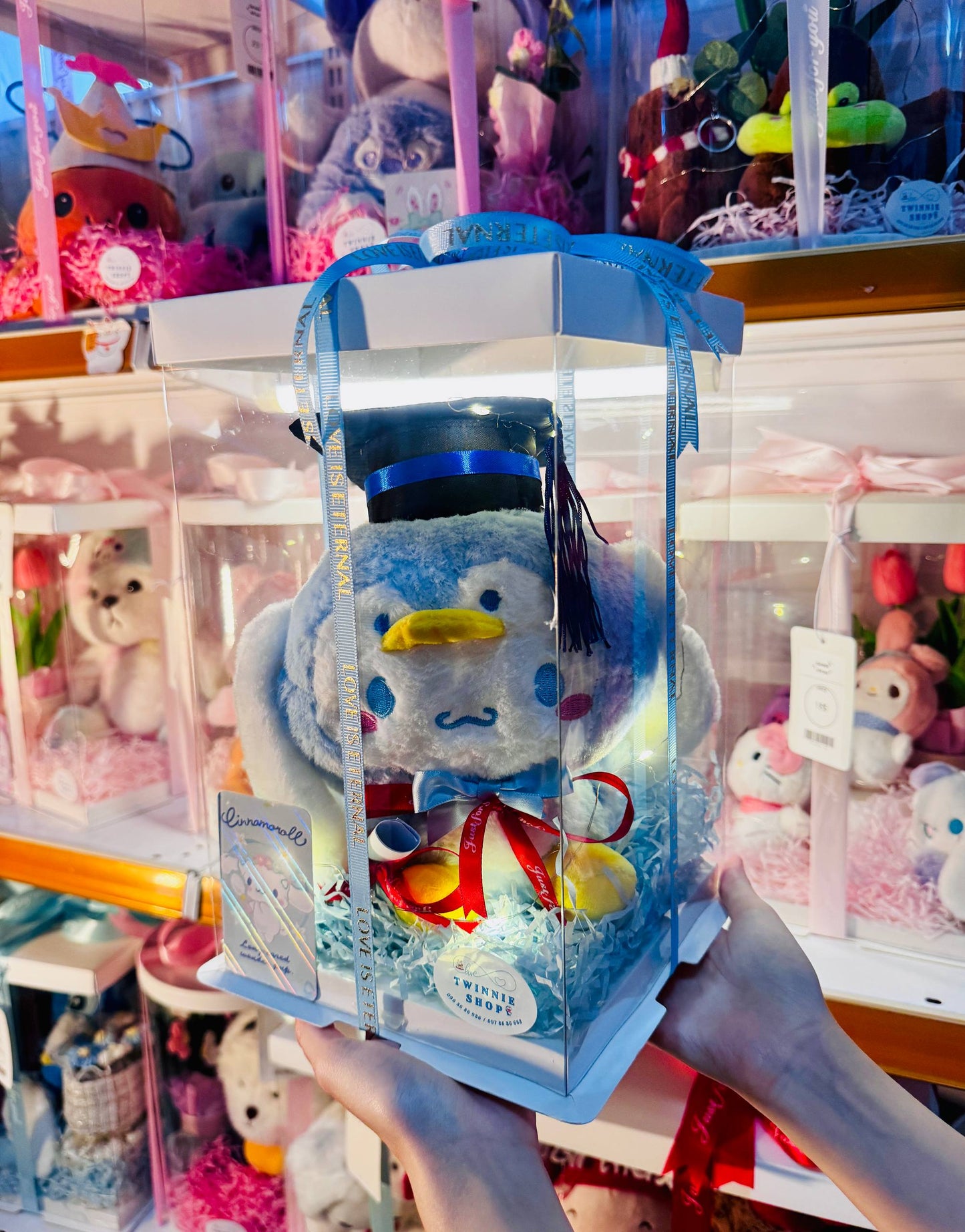 GRA | Blue Cinamoroll graduate box