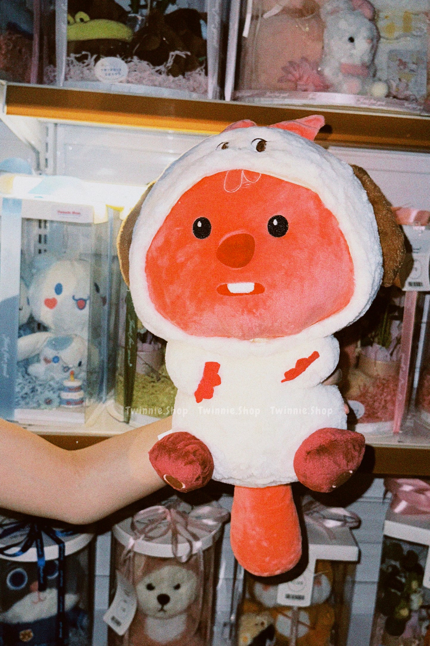 BT | Loopy Teddy