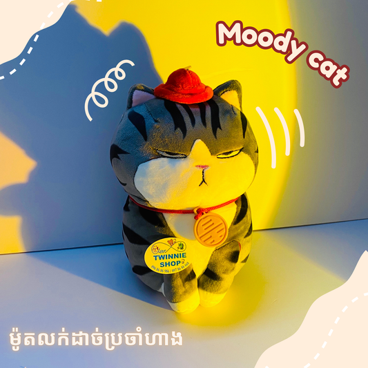 SD | Moody cat