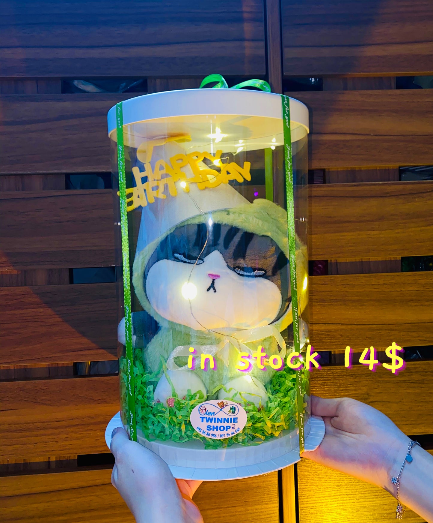 SRBBD | cat birthday box skin cat