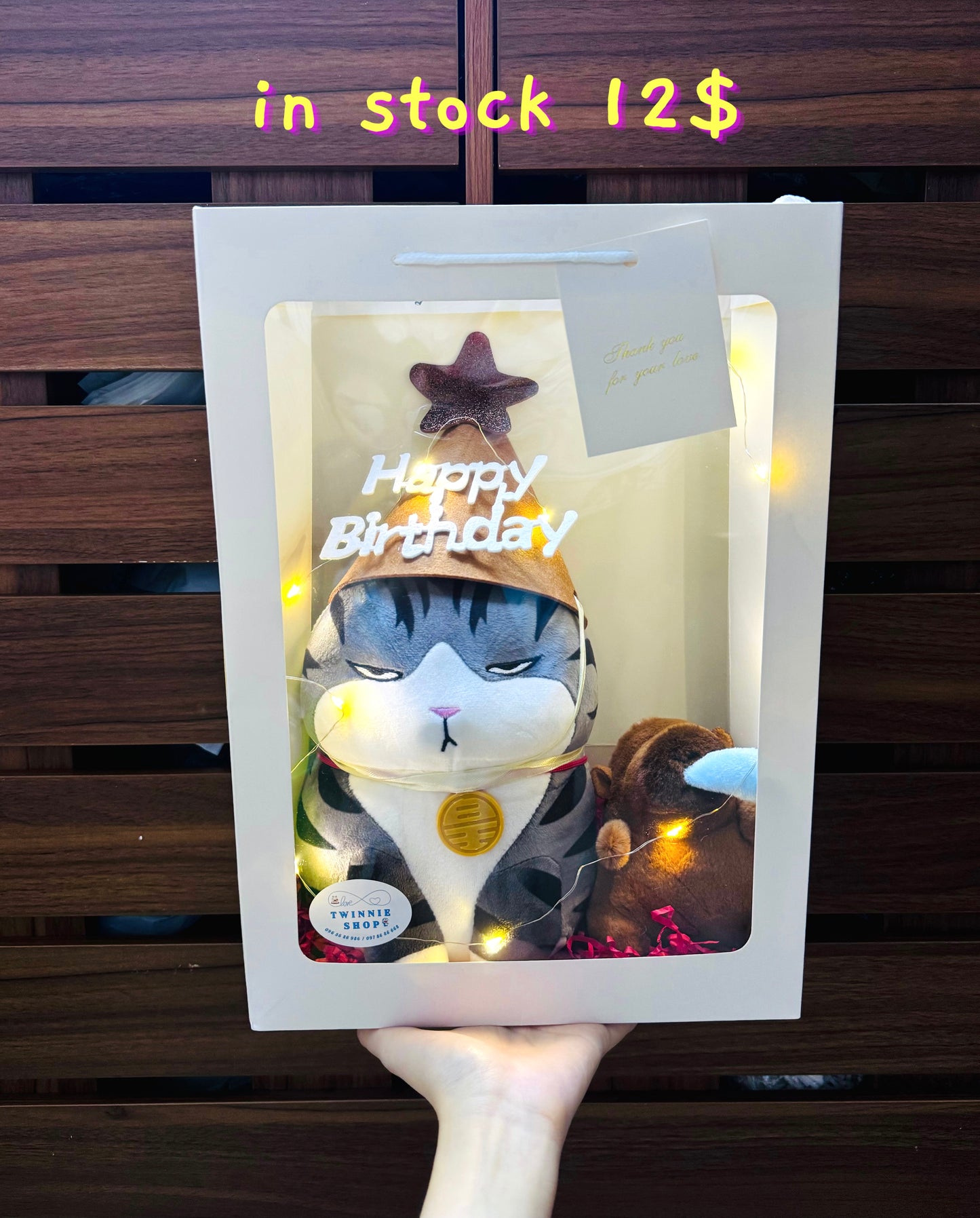 BD | Cat birthday gift bag