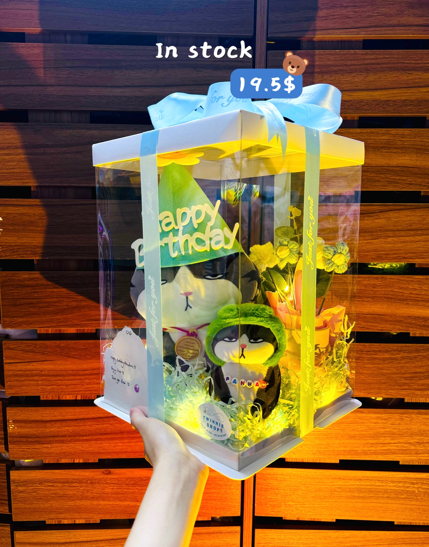 BD18 | Moody cat family birthday set
