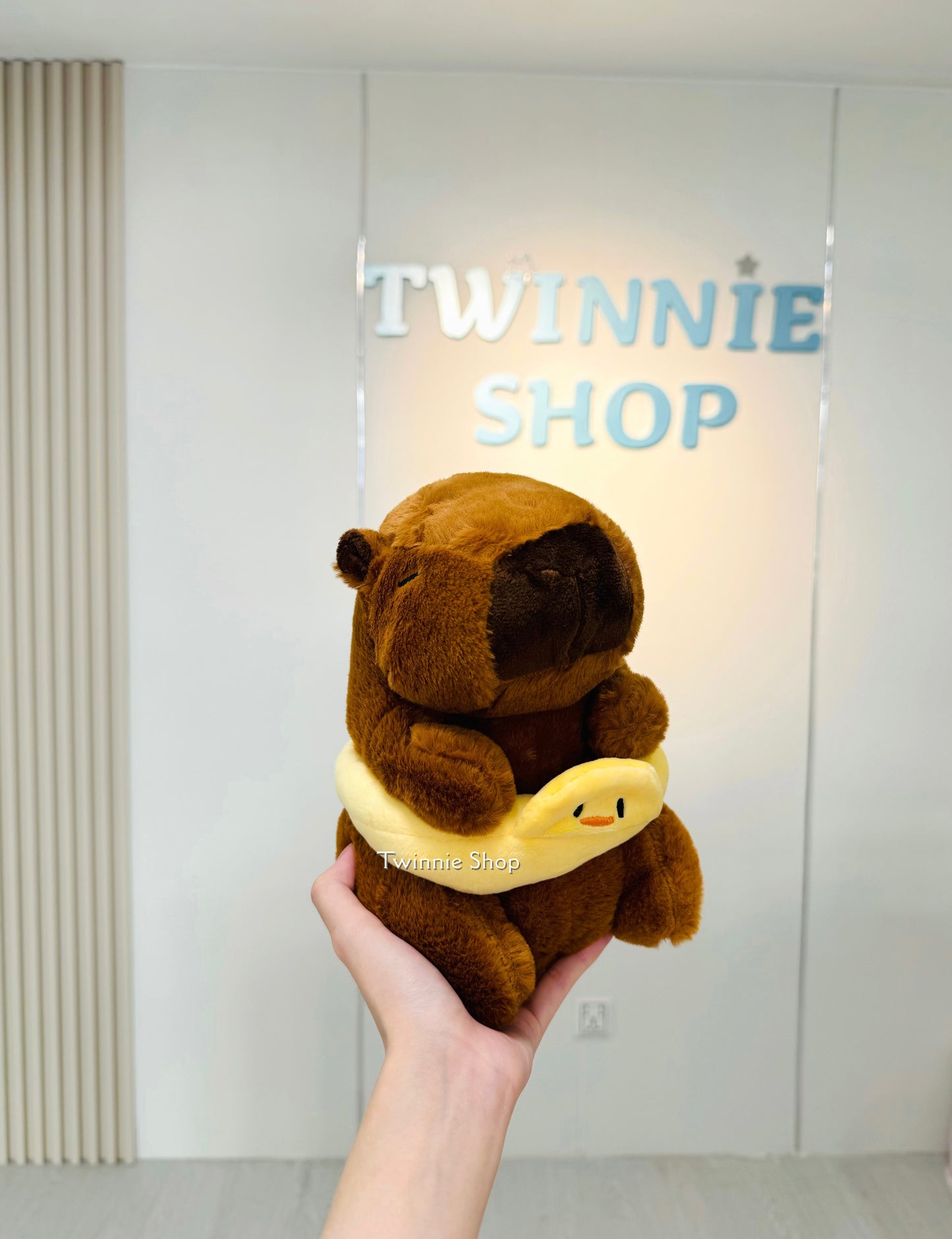SD | Duck swim capybara