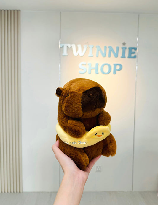 SD | Duck swim capybara
