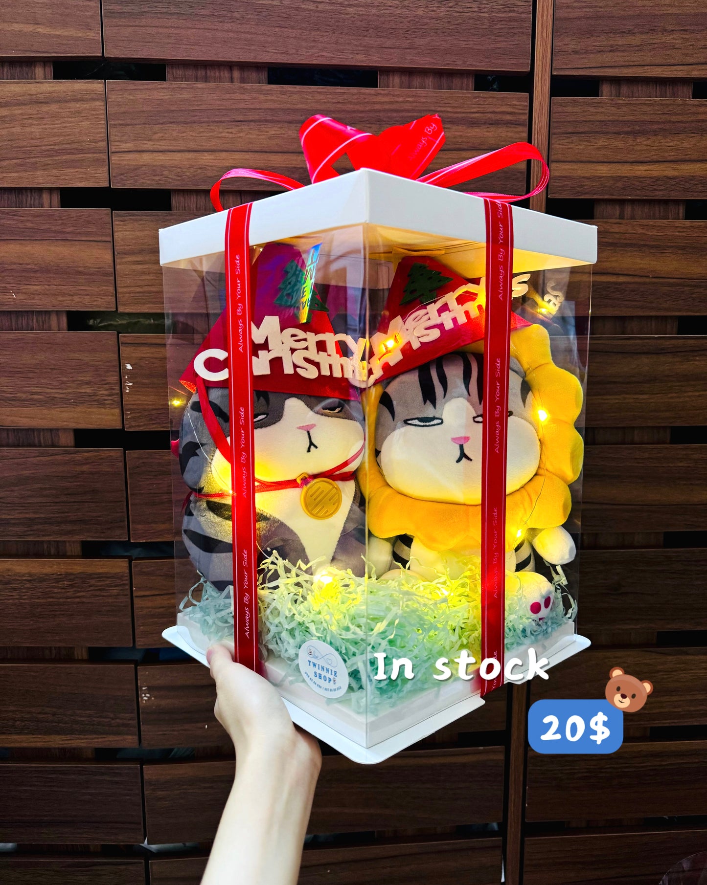 Xmas | couple cat box