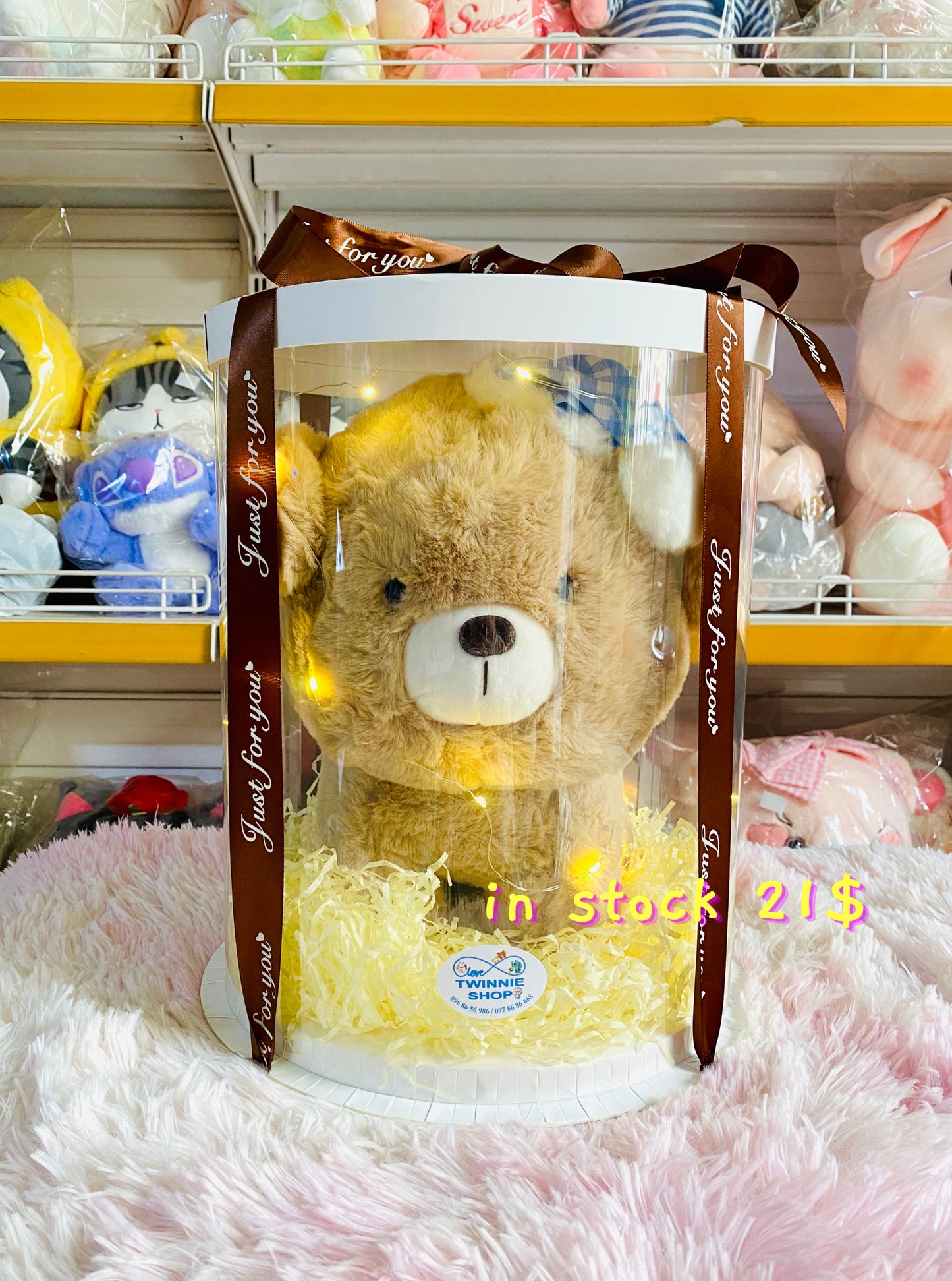 BB | Brown puppy box