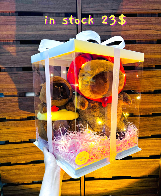 BB | Capybara gift set