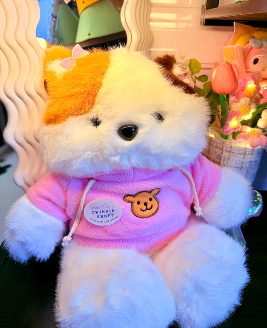BT | Cute cat
