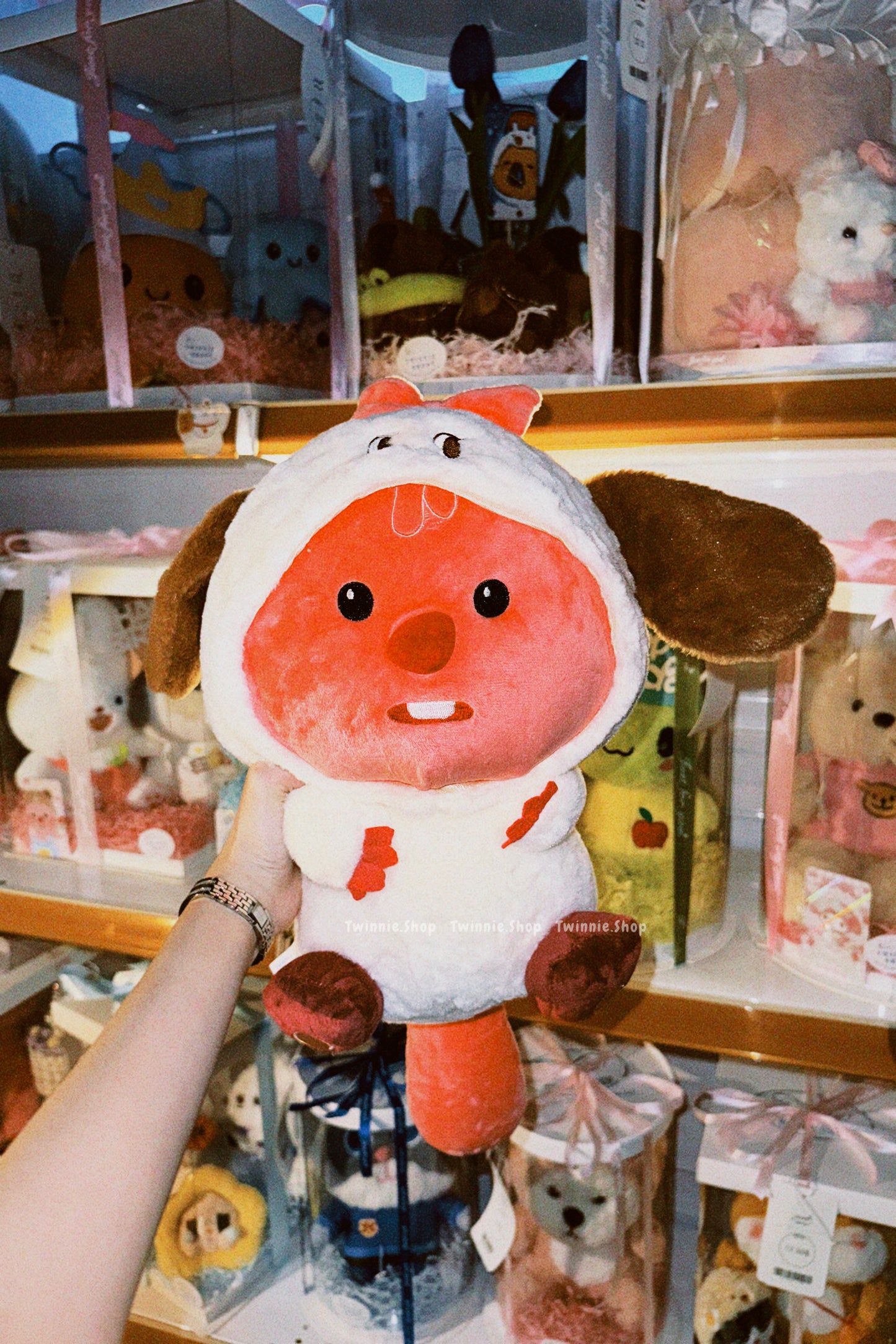BT | Loopy Teddy