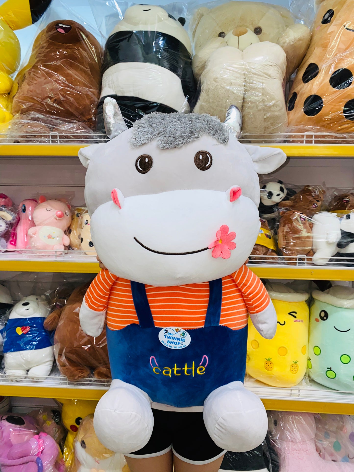 BT | Cow teddy