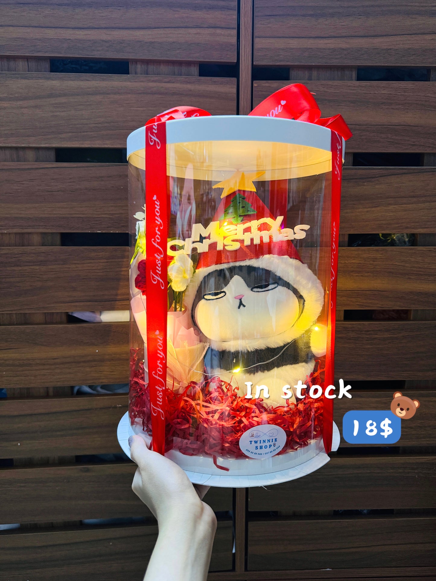 Xmas | Cat Christmas set