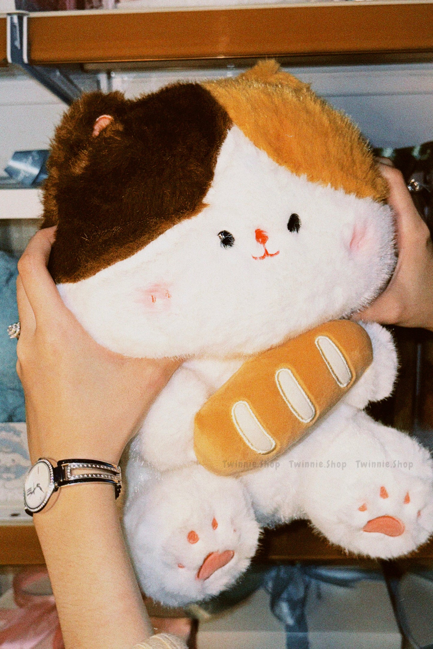 BT | Bread cat