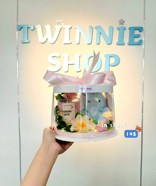 CD | Elephant candle gift box