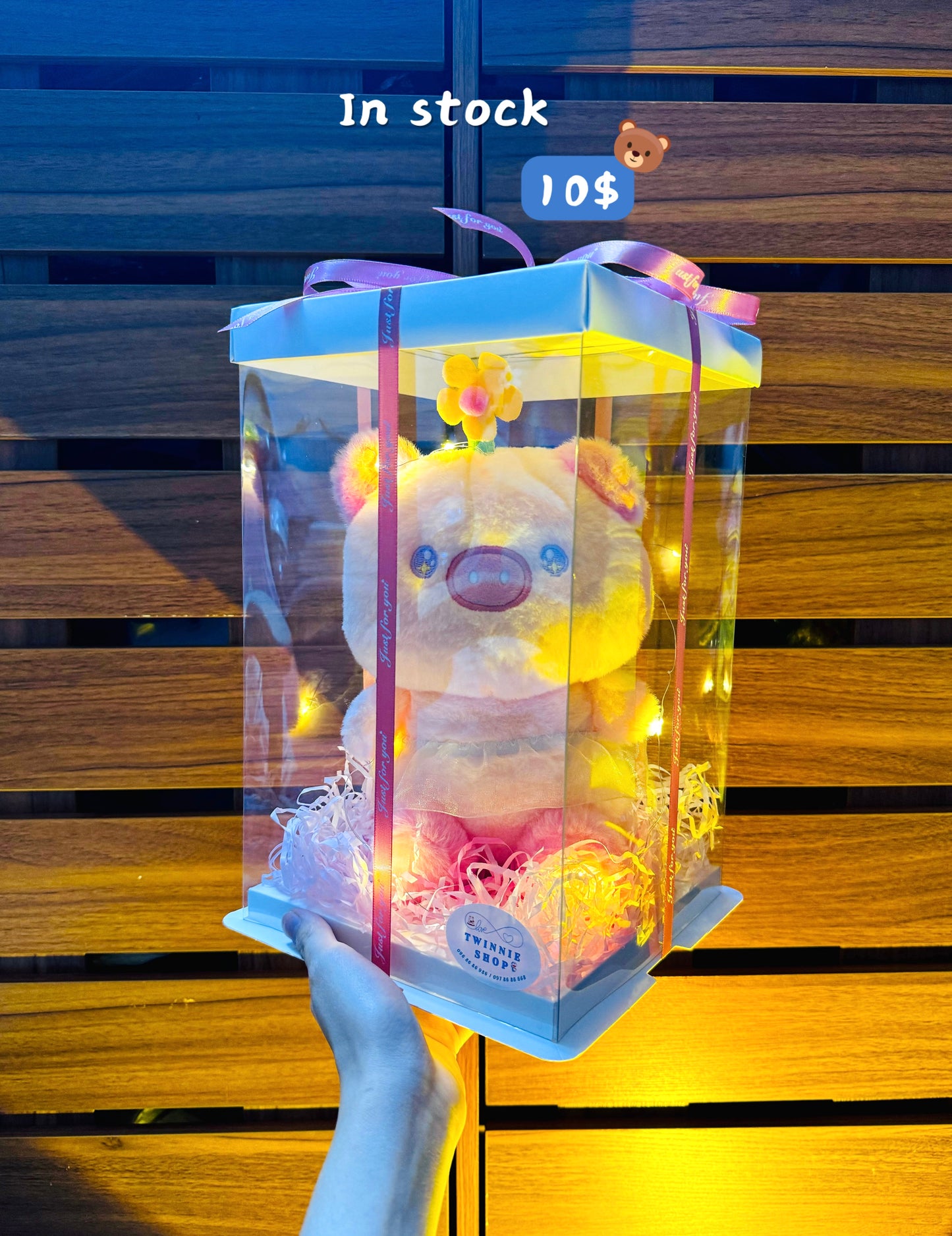 SRB10 | Sunflower pig set
