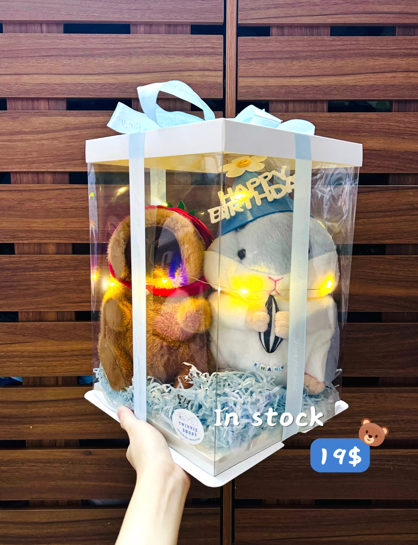CPBBD | Capybara birthday couple set