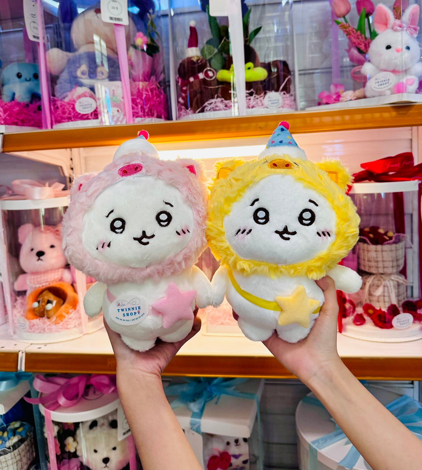SD | Party kawaii cat