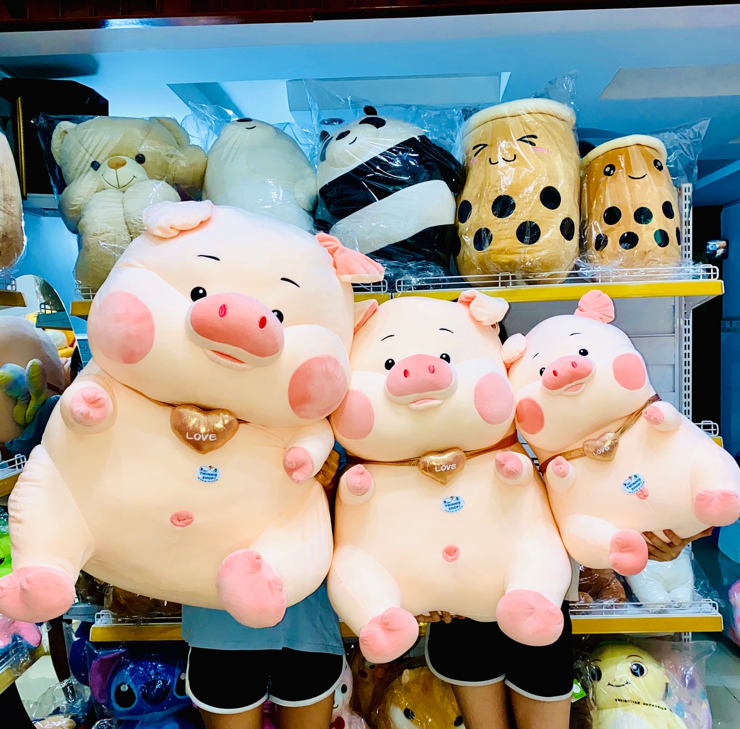 BT | Chubby Pig