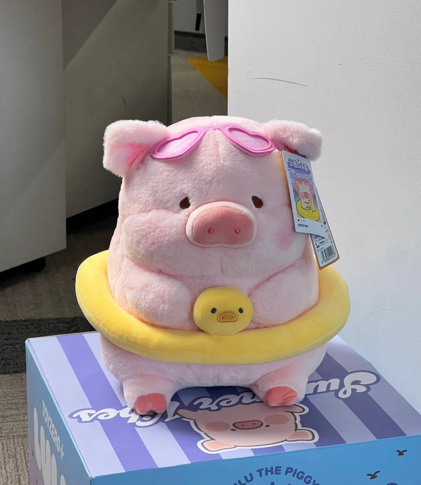 BT | Swim piggy