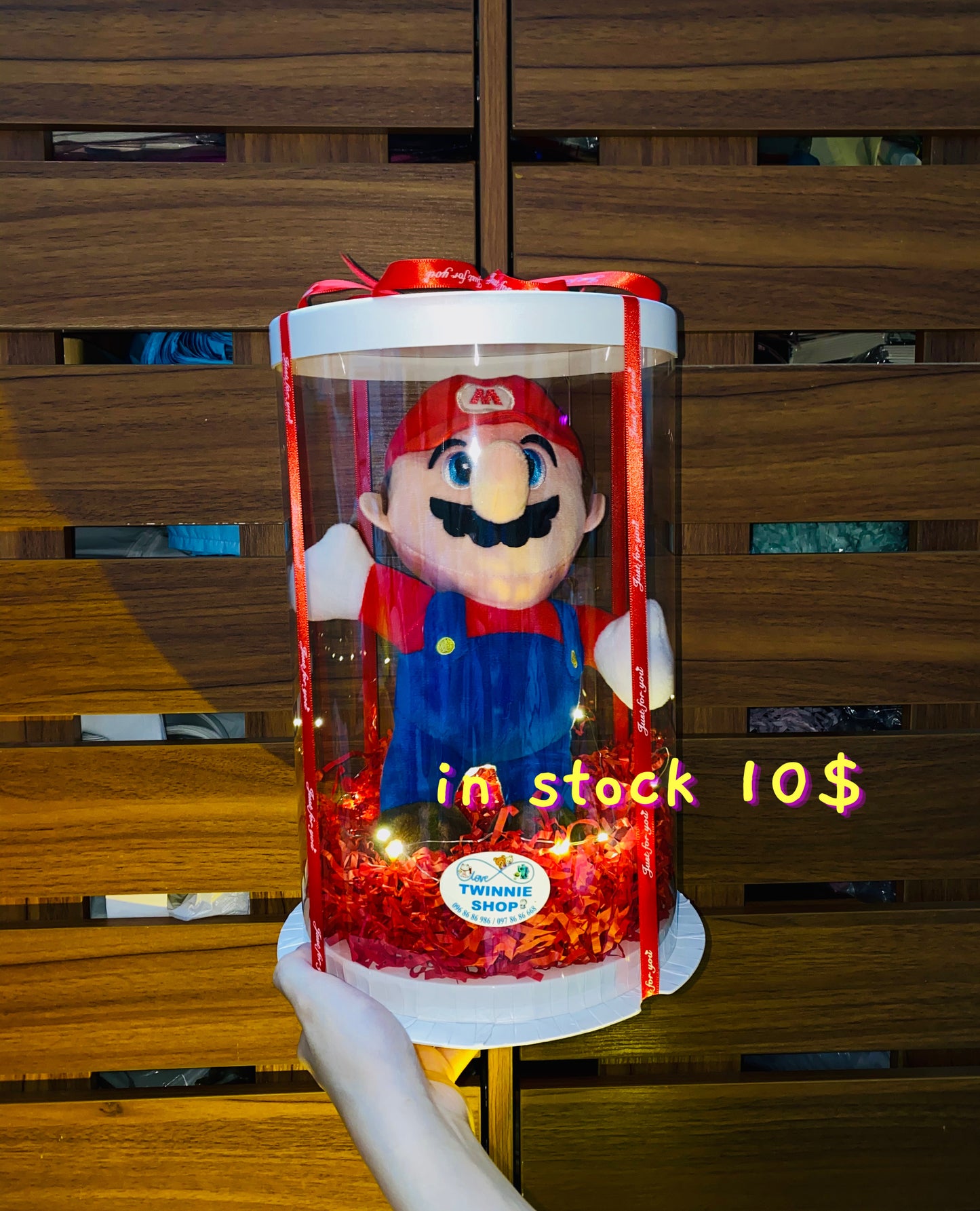 Mario / Luigi