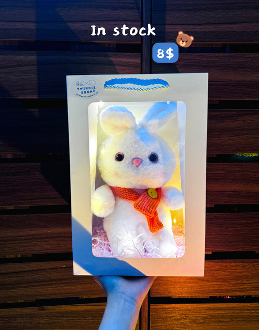 SRB | Ribbon bunny gift bag