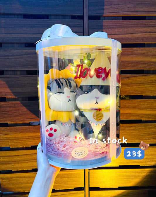 ILY | Moody cat couple set