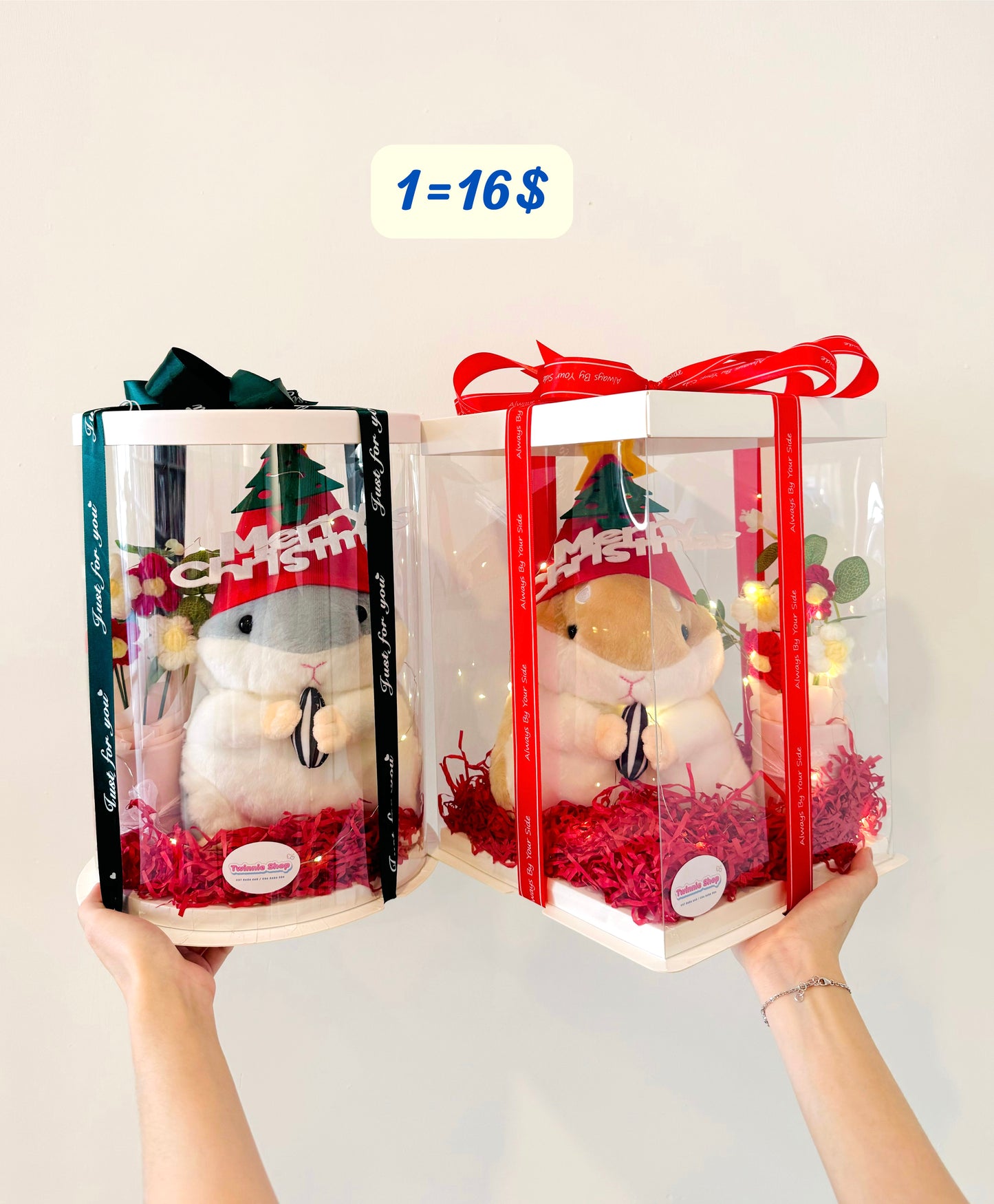 Xmas | Christmas set price