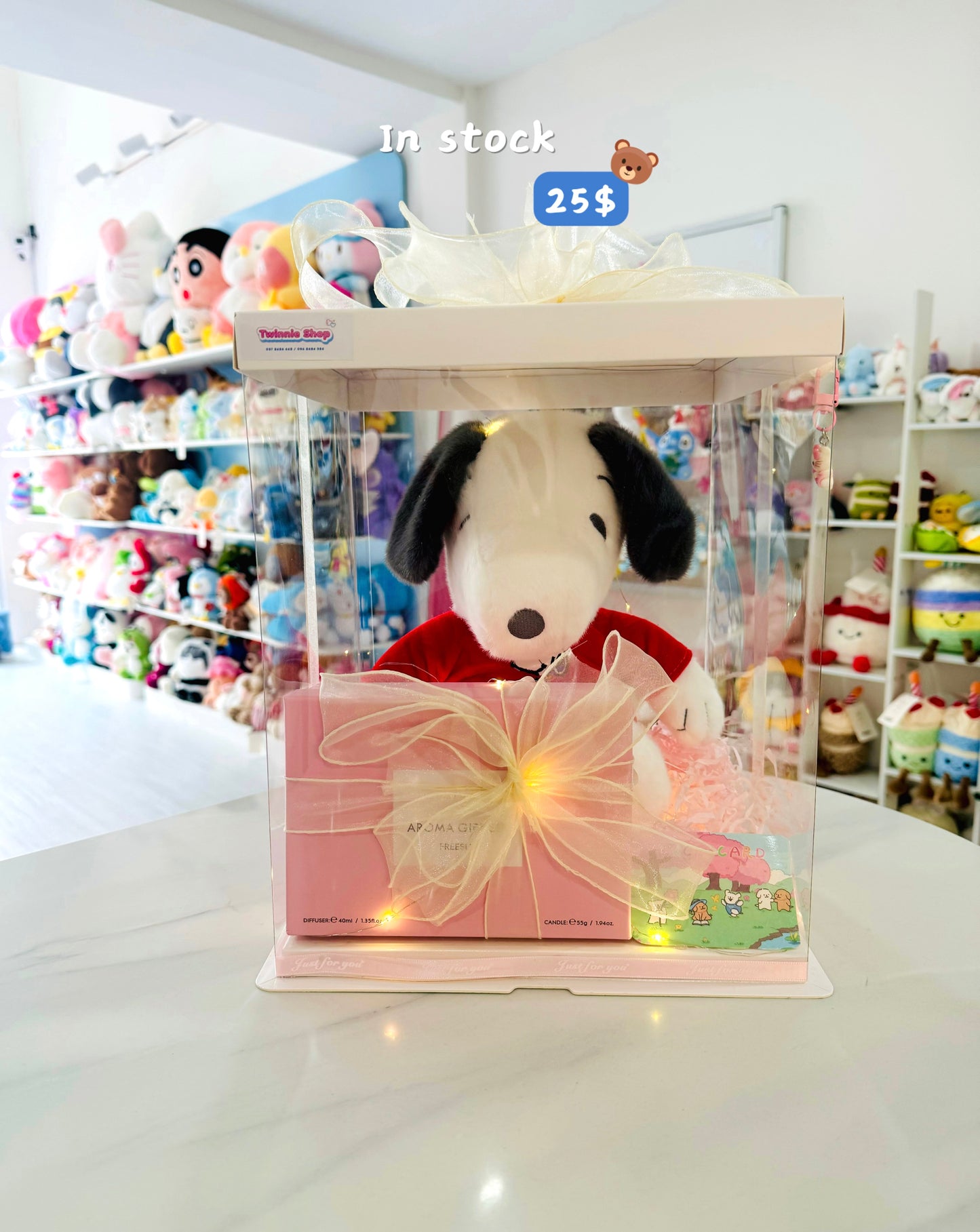 CD | Snoopy candle diffuser set