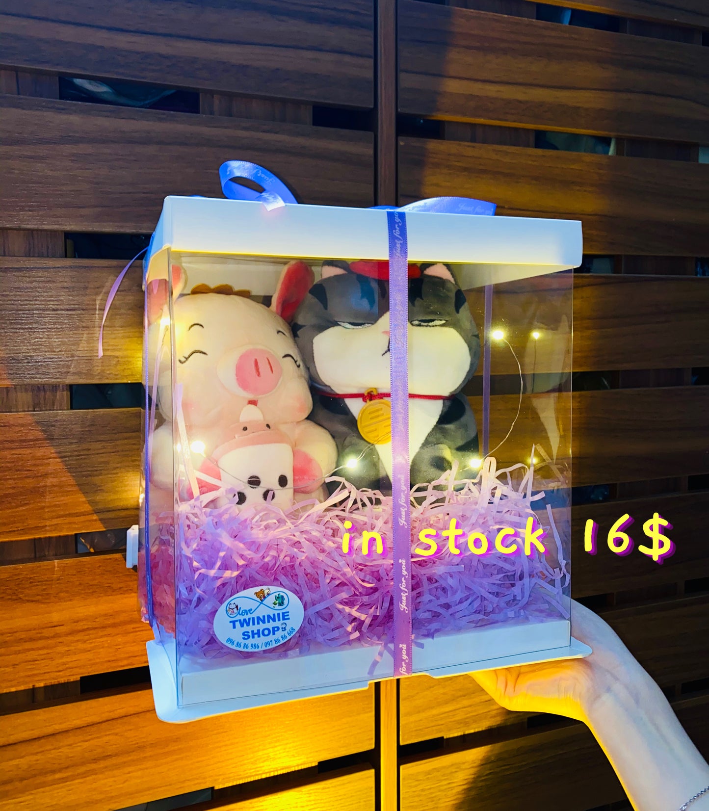 CPB | Cat Pig couple set