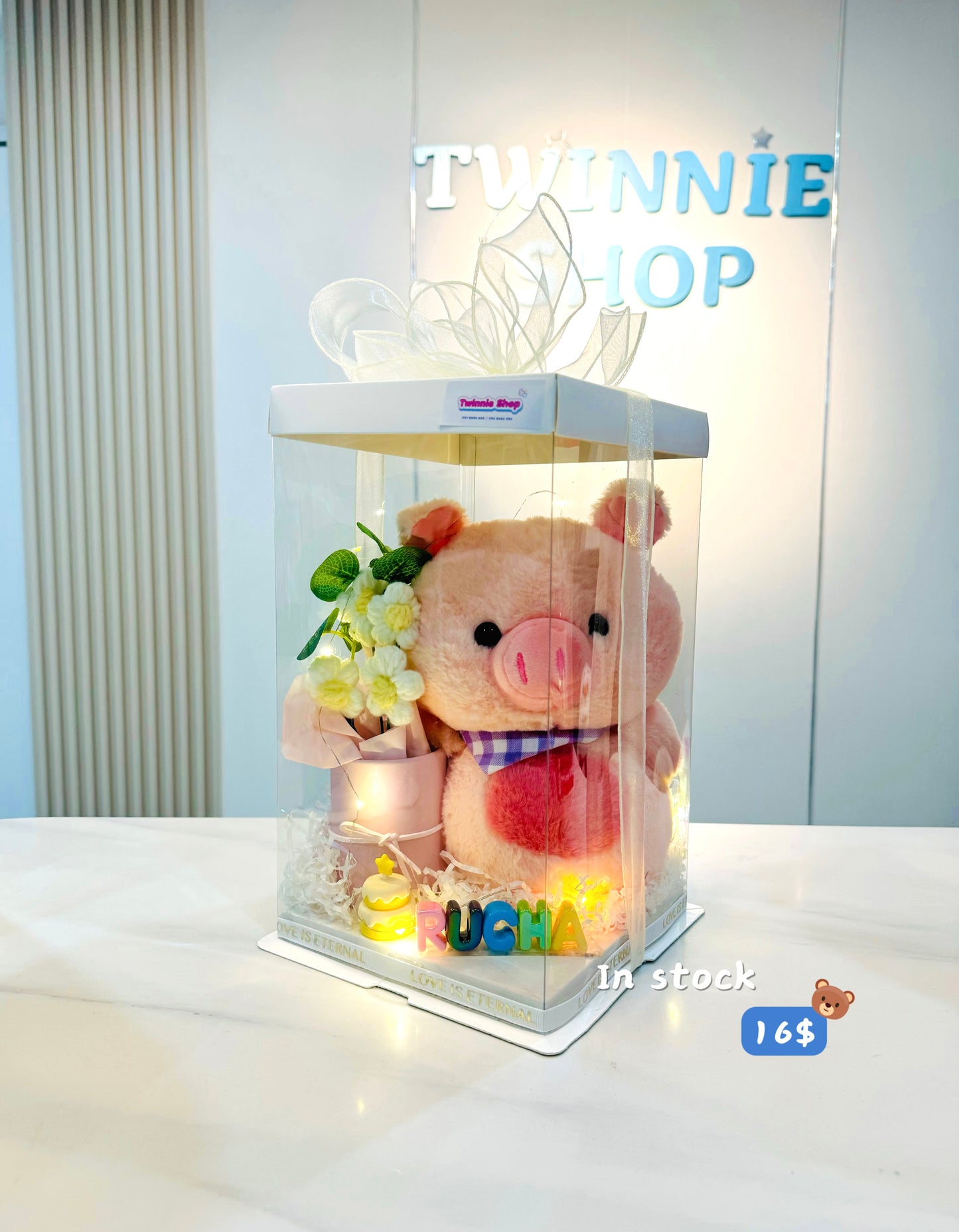 SRBC | Piggy cake name set