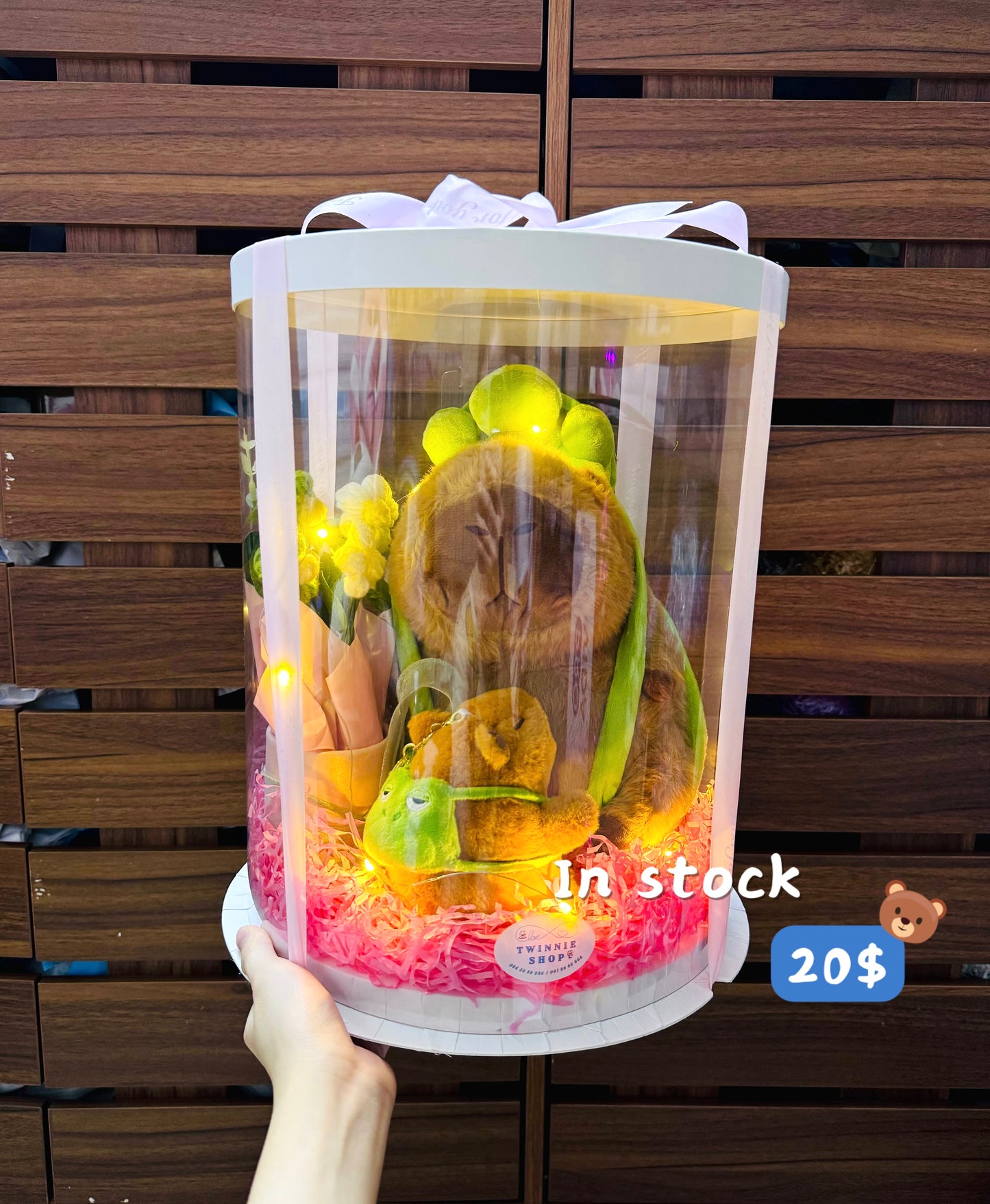 BB | Capybara Turtle big set