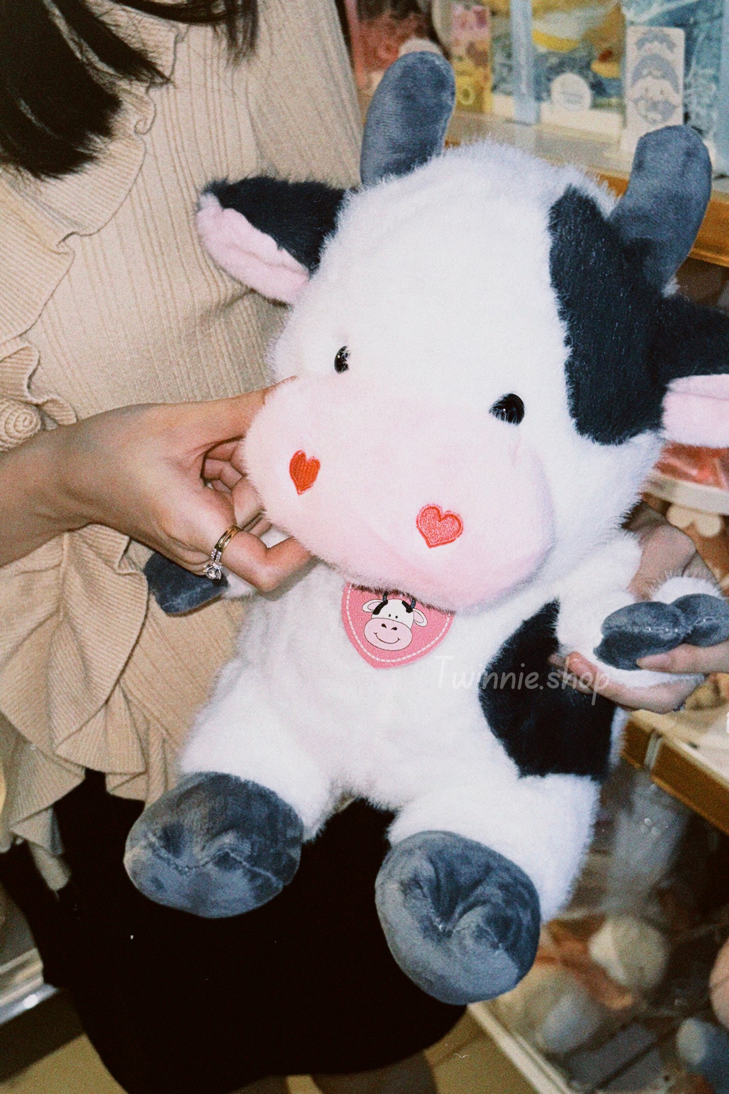 BT | Cow