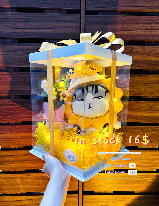 BD16 | Cat birthday box