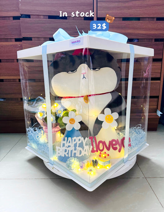 BB | Moody cat event set