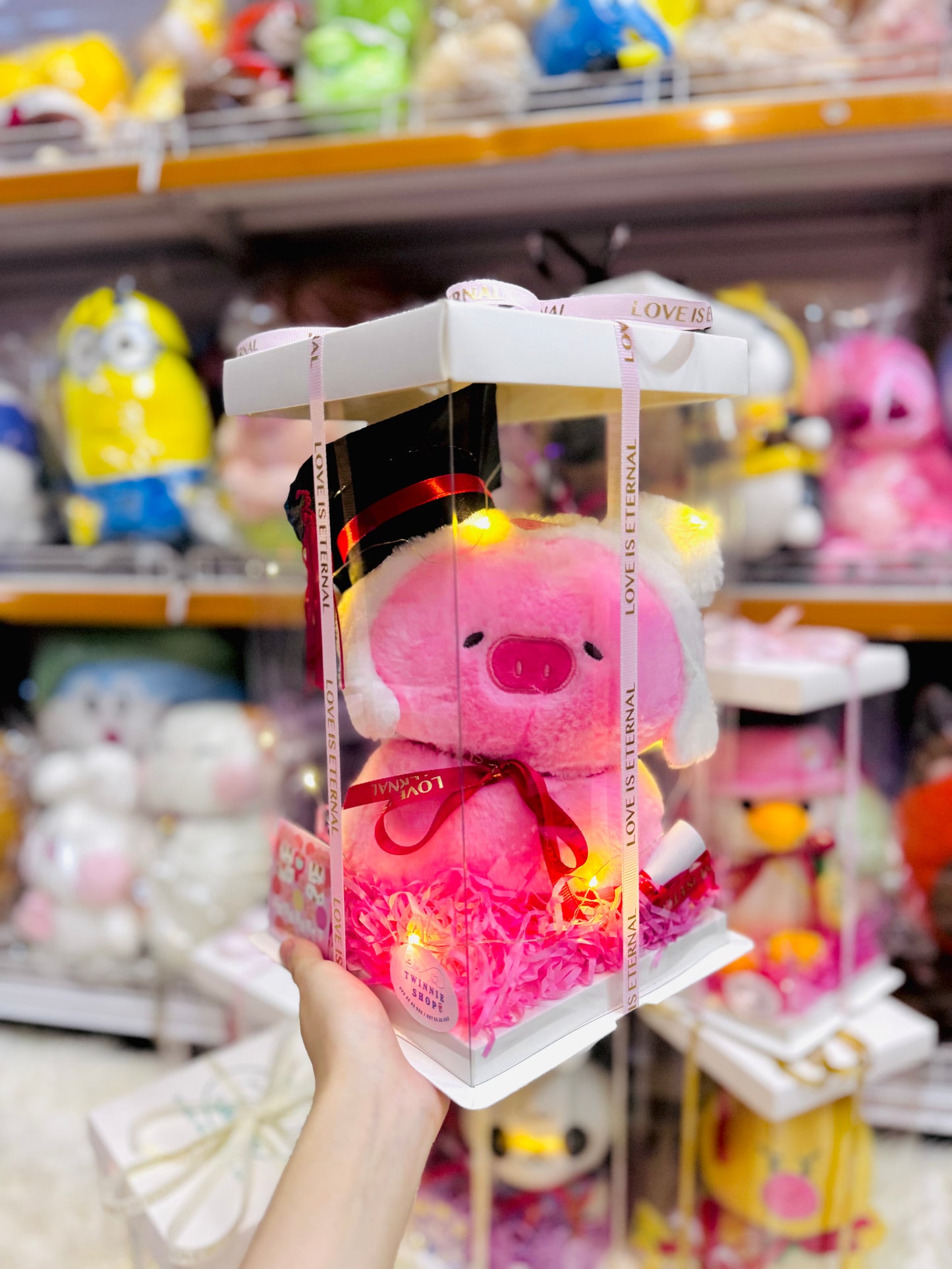 GRASRB | piggy graduate small box