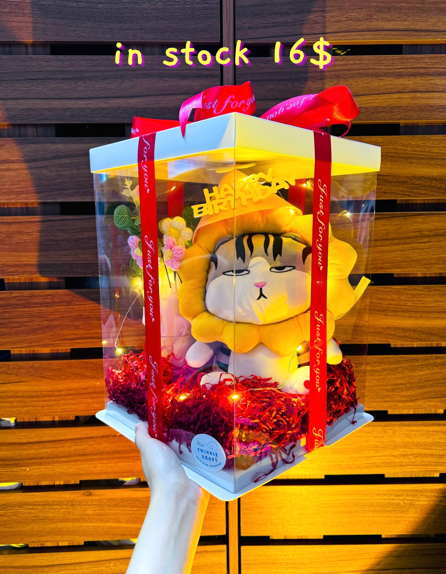 BD16 | Cat birthday box