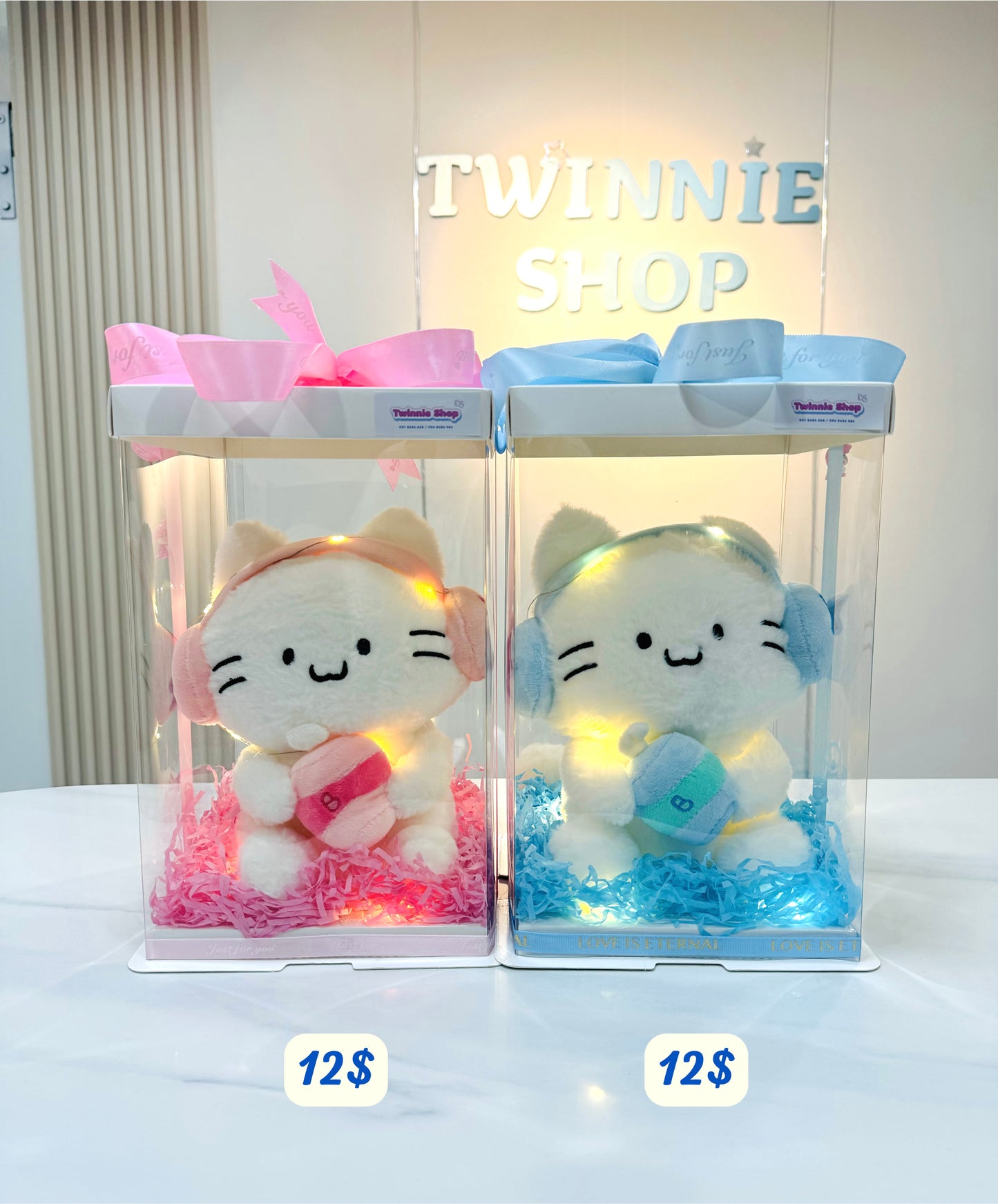 SRB10 | Music Cat gift set