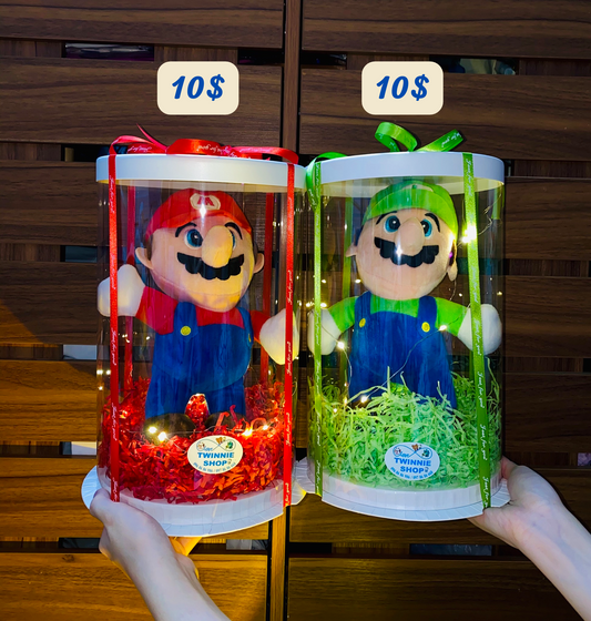 Mario / Luigi