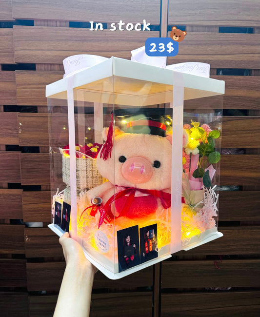 GRA | Piggy graduate big set