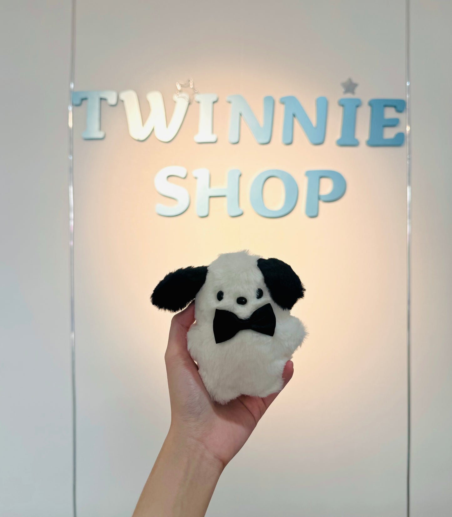 KEY | Pochacoo keychain